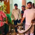 খাটের নিচ থেকে ২৬ কেজি ওজনের অজগর সাপ উদ্ধার