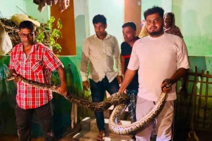 খাটের নিচ থেকে ২৬ কেজি ওজনের অজগর সাপ উদ্ধার