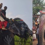 মায়ের শখ পূরণে হাতির পিঠে চড়ে বিয়ে
