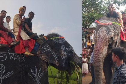 মায়ের শখ পূরণে হাতির পিঠে চড়ে বিয়ে