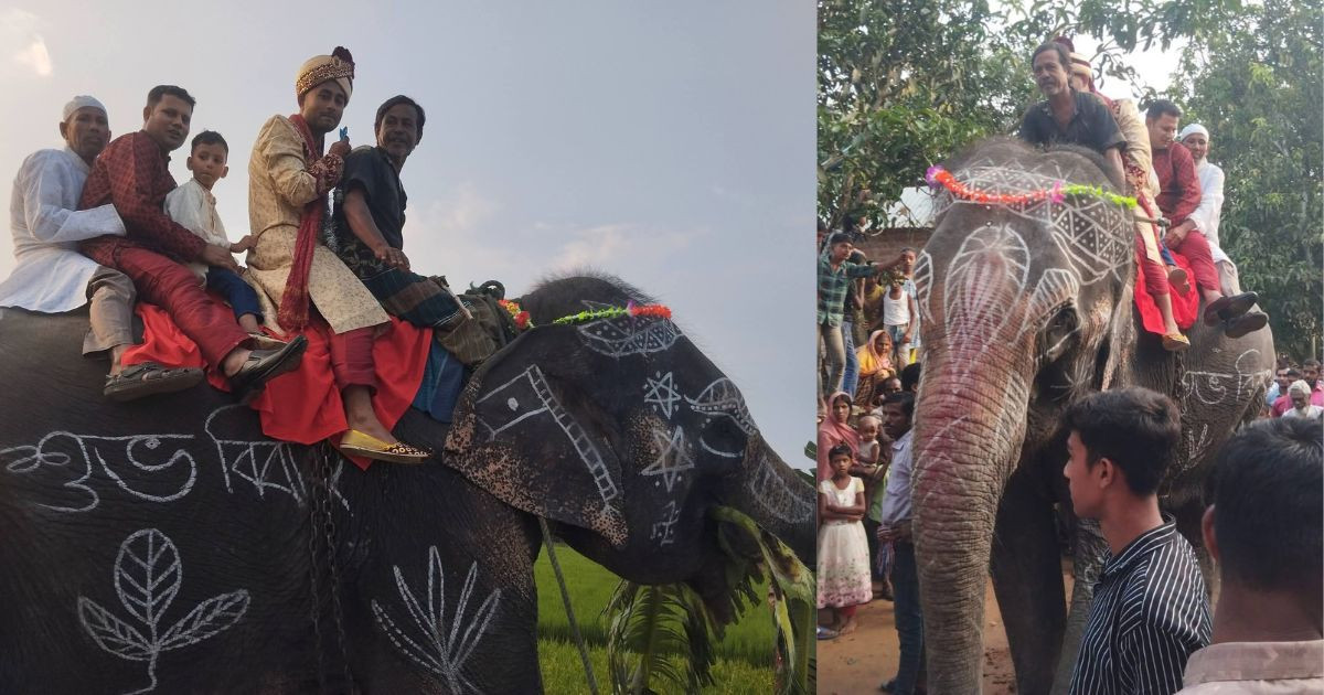 মায়ের শখ পূরণে হাতির পিঠে চড়ে বিয়ে