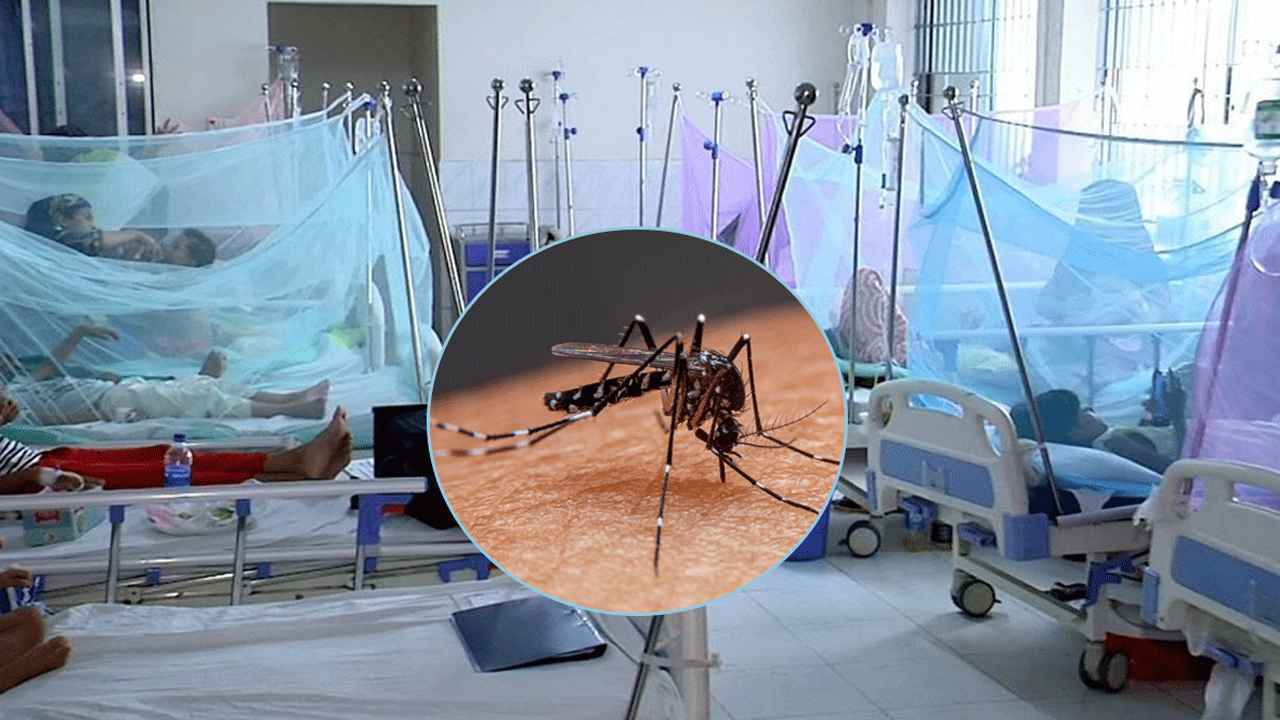 ভয়ানক হয়ে ওঠা ডেঙ্গু জ্বরে ছয়জনের মৃত্যু