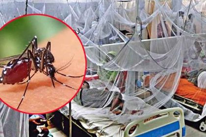 দেশে ডেঙ্গু জ্বরে আক্রান্ত ৪ জনের মৃত্যু
