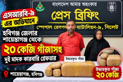 শায়েস্তাগঞ্জ থেকে ২০ কেজি গাঁজাসহ দুই মাদক কারবারি গ্রেফতার