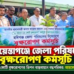শায়েস্তাগঞ্জে জেলা পরিষদের বৃক্ষরোপণ কর্মসূচি