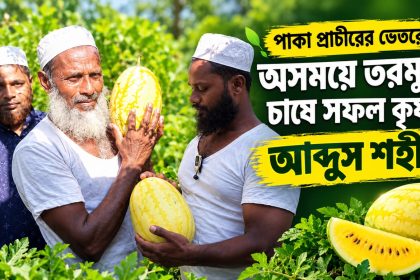 অসময়ে তরমুজ চাষে সফলতা