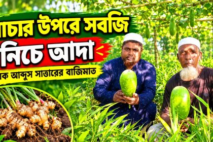 বাহুবল