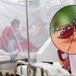 ডেঙ্গু আক্রান্ত হয়ে চারজনের মৃত্যু
