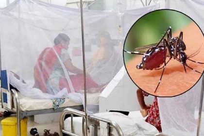 ডেঙ্গু আক্রান্ত হয়ে চারজনের মৃত্যু
