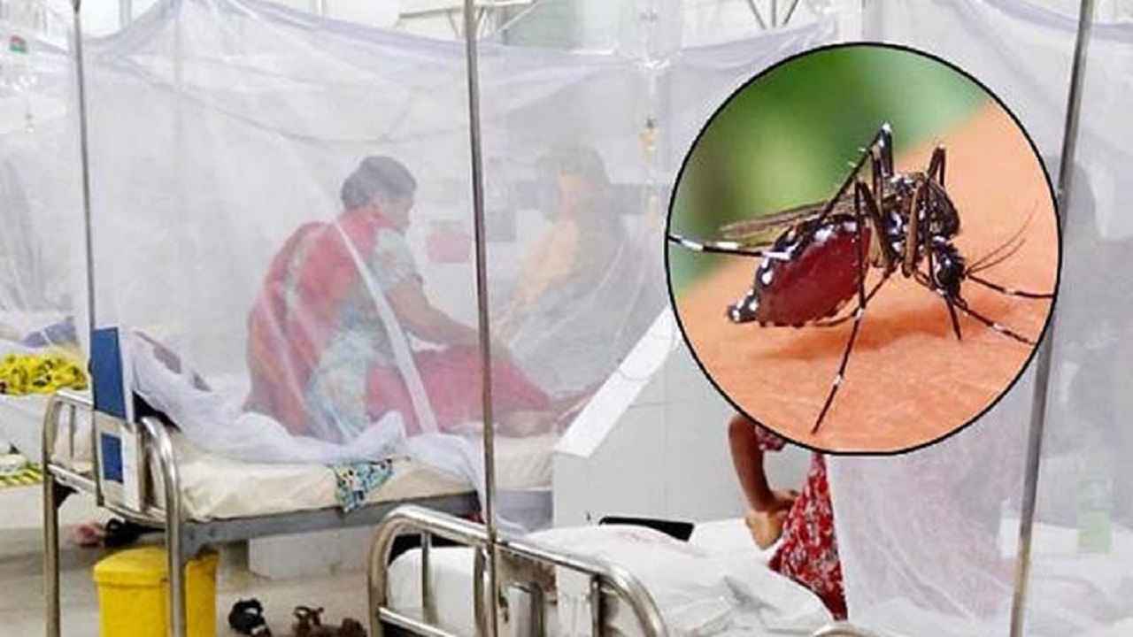 ডেঙ্গু আক্রান্ত হয়ে চারজনের মৃত্যু