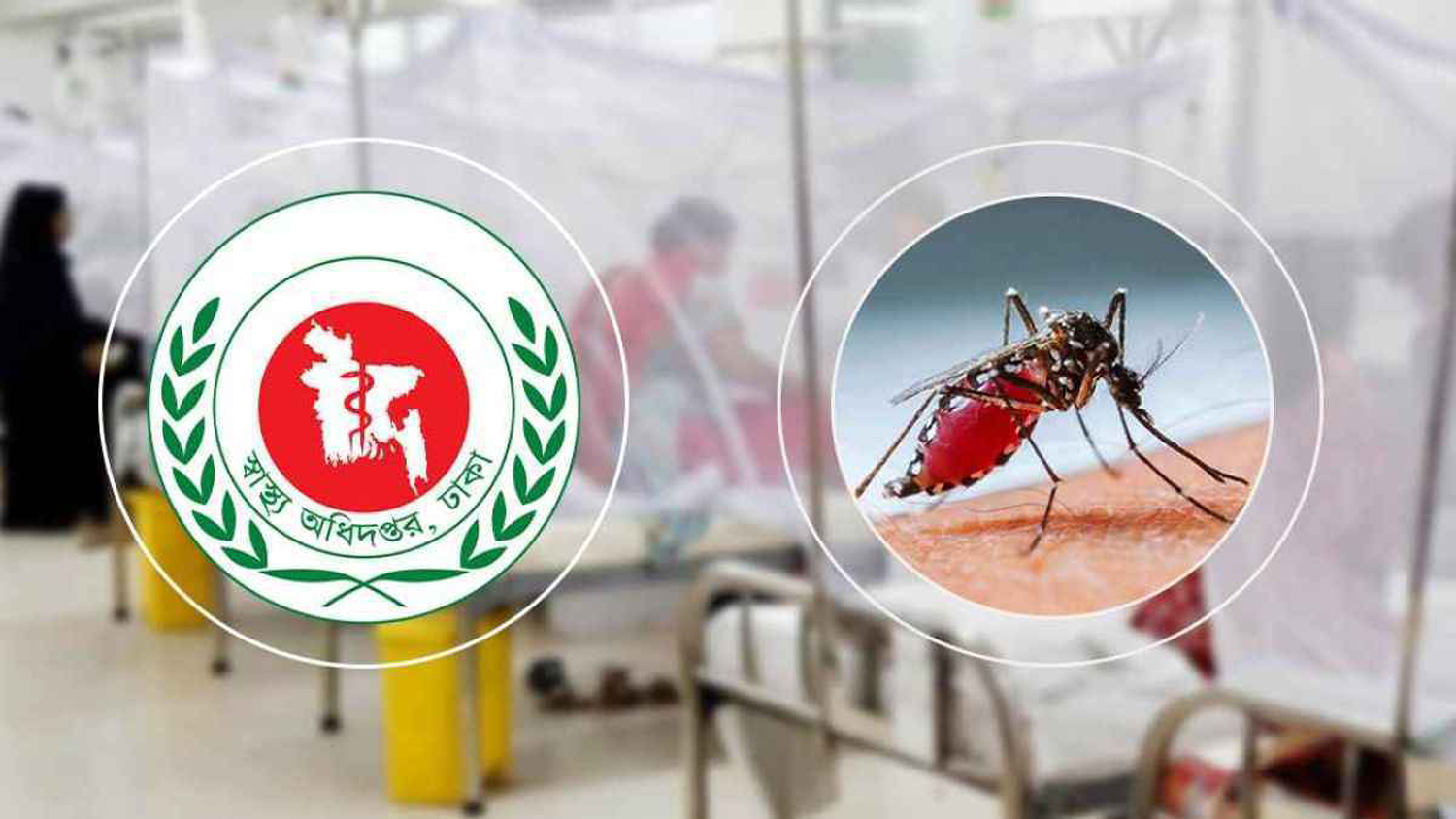 অক্টোবর মাসে ডেঙ্গু জ্বরে দেশে ১৭৪ জনের মৃত্যু