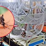 সারাদেশে মশাবাহিত ডেঙ্গু জ্বরে ৫ জনের মৃত্যু