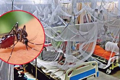 সারাদেশে মশাবাহিত ডেঙ্গু জ্বরে ৫ জনের মৃত্যু