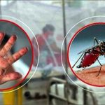 ডেঙ্গু জ্বরে ৭ ও হামের উপসর্গে ১ জন মারা গেছে