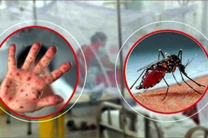 ডেঙ্গু জ্বরে ৭ ও হামের উপসর্গে ১ জন মারা গেছে